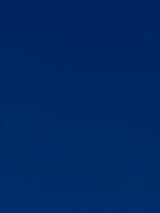 Dido AI voice text to speech and AI music cover generator