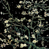 JVKE - This Is What Space Feels Like (Drums) (Ov2 Super Pretrain) AI voice text to speech and AI music cover generator