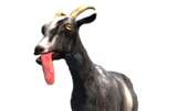 Pilgor 'Normal Goat' (Goat Simulator) AI voice text to speech and AI music cover generator
