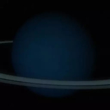 Caerulus (Nephthys Media, Black Drag0nfish) AI voice text to speech and AI music cover generator