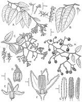 Dudu (João Batista) Dataset: 5:30 AI voice text to speech and AI music cover generator