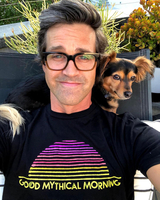 Link (GMM) AI voice text to speech and AI music cover generator