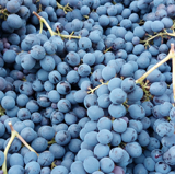 Chris McLean (A tutto reality/Total Drama) (Italian voice, Alessandro Quarta) (REPOST) AI voice text to speech and AI music cover generator