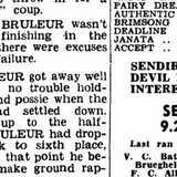 The Snowy Raven (Ov2) AI voice text to speech and AI music cover generator