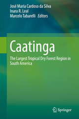 Maria JosE Cardoso 1000 AI voice text to speech and AI music cover generator