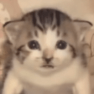 Nekoglai AI cover generator