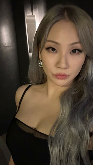 Chaelin AI cover generator