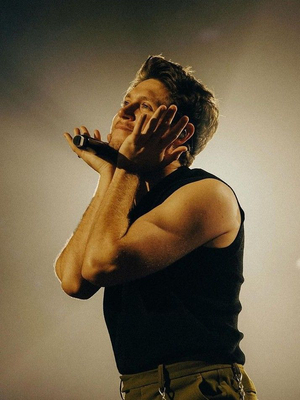 Niall Horan AI cover generator