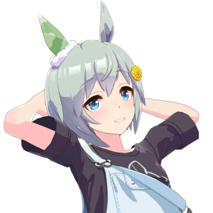 Seiun Sky (Uma Musume) AI cover generator