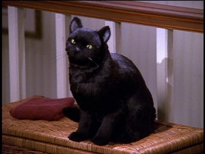 Salem Saberhagen (STTW) AI cover generator