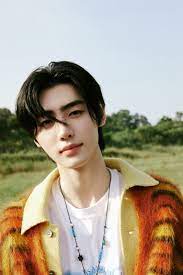 Sunghoon AI cover generator