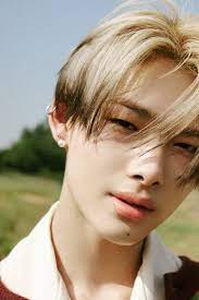 Ni-ki AI cover generator