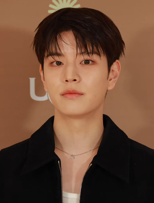 Stray Kids Seungmin AI cover generator