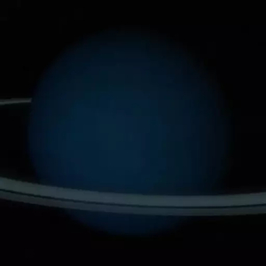 Caerulus (Nephthys Media, Black Drag0nfish) AI cover generator