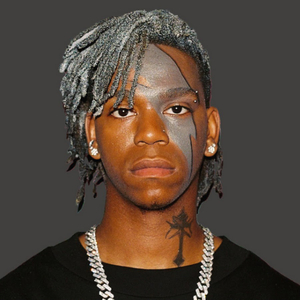 DC The Don AI cover generator