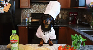 Chef Crusoe (Italian accent) AI cover generator