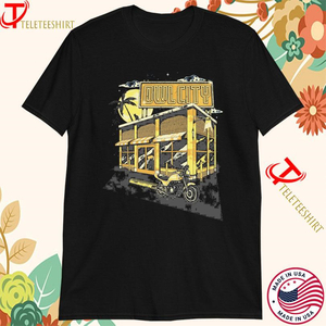 Owl City (Adam Young) - Coco Moon Era (Current) ( AI cover generator