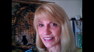 Nancy Drew (PC Games) (VA: Lani Minella) AI cover generator