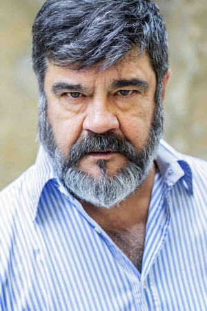 Hagrid (italian dub) (Harry Potter) (voice actor Francesco Pannofino) AI cover generator