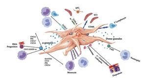 Kowalski (AG: Jacek Lenartowicz) AI cover generator