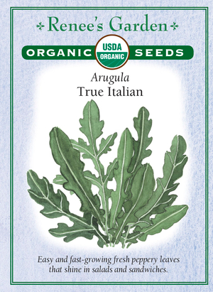 Truef (Italian Youtuber) AI cover generator