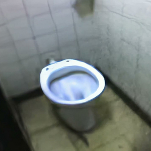 rompiendo inodoro de la escuela AI cover generator