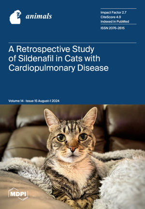 Xin Zhao - Cat's Cosy Course (Drums) AI cover generator