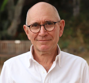 Ana Maria Braga (Ov2) AI cover generator