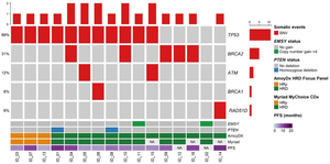 MD Chefe (Ov2) AI cover generator