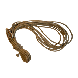 Lasso AI cover generator