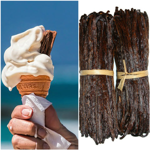 Sonic The Hedgehog (Roger Craig Smith) (GPT-SoVITS) (15) AI cover generator