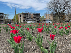 Sheldon Plankton (German) (Spongebob) AI cover generator