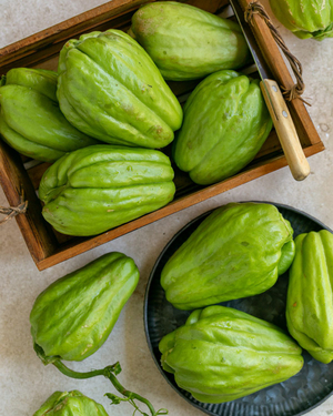 Choko AI cover generator