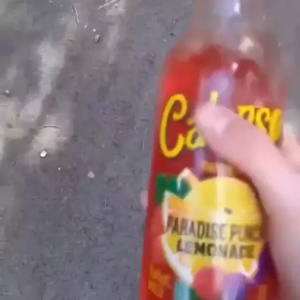 British Calypso Kid (Meme) AI cover generator