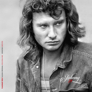 Johnny Hallyday AI cover generator