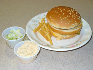 Macintosh Junior AI cover generator