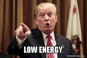 donald trump (sad low-energy) AI cover generator