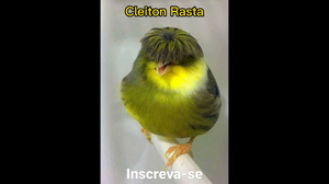 Cleiton Rasta AI cover generator