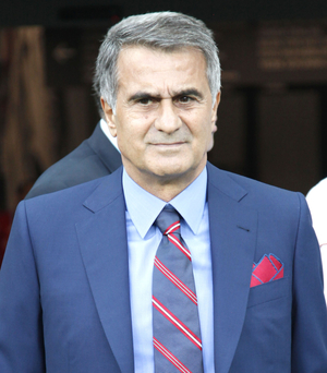 Şenol Güneş AI cover generator