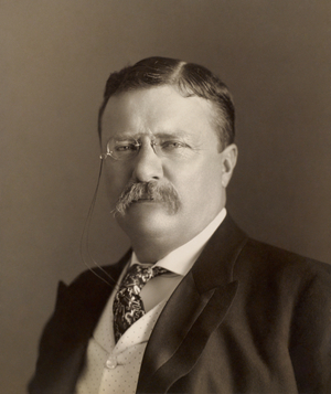 Theodore Roosevelt AI cover generator
