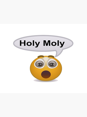 Holy Moly (Meme) AI cover generator