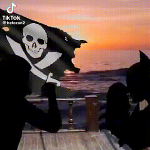 Pirate Irony (Hood Irony) AI cover generator