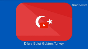 Efe AYDAL (Turkish Youtuber) AI cover generator