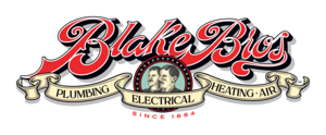 Blake (Brothers) AI cover generator