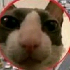 Pablo Criticas AI cover generator