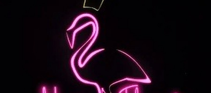 This is the Avatar Image for the King Flamingo (italian Youtuber) AI Voice and Text to Speech Generator
