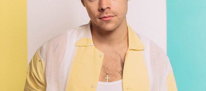 This is the Avatar Image for the Harry Styles AI Voice and Text to Speech Generator