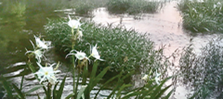 This is the Avatar Image for the Joonjong (Korean Streamer) (harverst) AI Voice and Text to Speech Generator