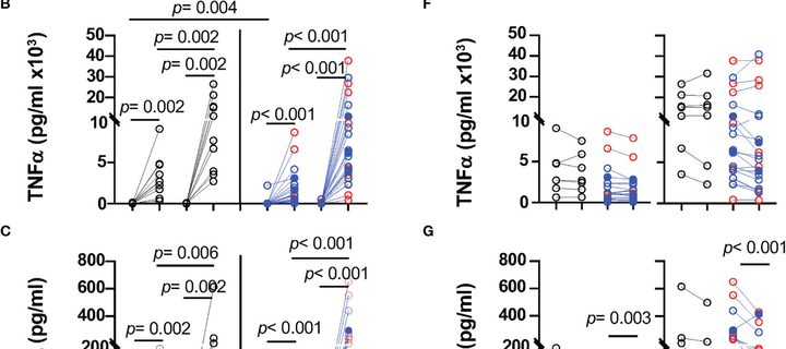 This is the Avatar Image for the Shima (Planet Dolan, 300 files) AI Voice and Text to Speech Generator