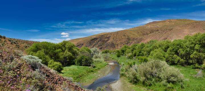 This is the Avatar Image for the It's a bully (RUS) AI Voice and Text to Speech Generator